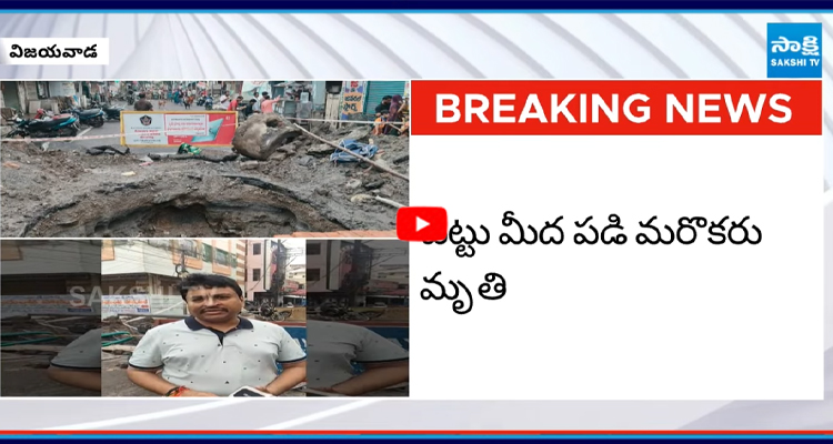 Vijayawada: చెట్టు మీద పడి మరొకరు మృతి