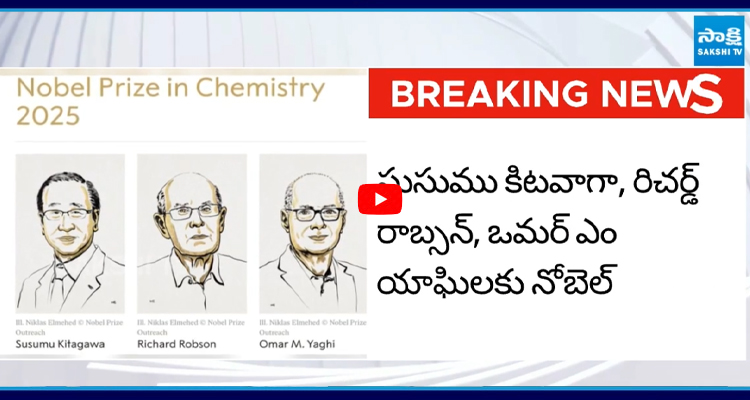 రసాయనశాస్త్రంలో ఈ ఏడాది ముగ్గురికి నోబెల్