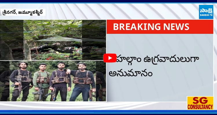 జమ్మూకశ్మీర్ : శ్రీనగర్ లో ఎన్కౌంటర్