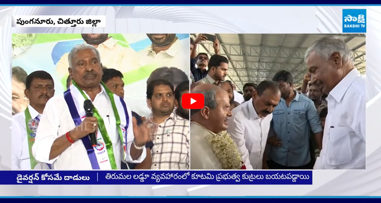 Peddireddy: లడ్డు డైవర్షన్ కోసమే.. YSRCP నేతలపై దాడులు