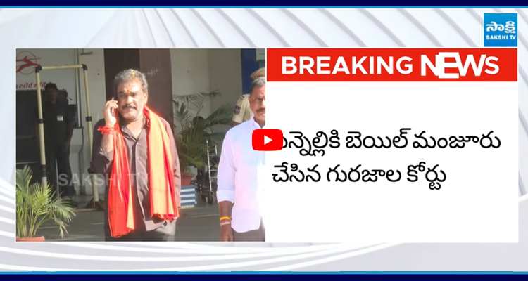 మాజీ ఎమ్మెల్యే పిన్నెల్లికి బెయిల్‌