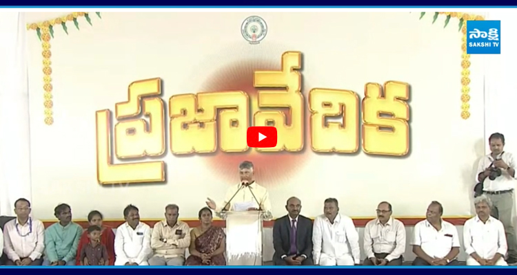 తన పాలనపై తానే విమర్శలు చేసుకున్న చంద్రబాబు