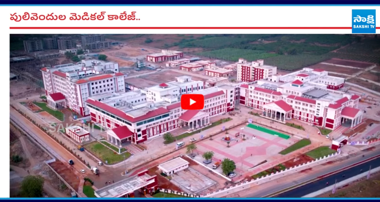 కేవలం పులివెందుల అనే... మానవత్వం ఉన్నోడెవడైనా అలా చేస్తాడా?