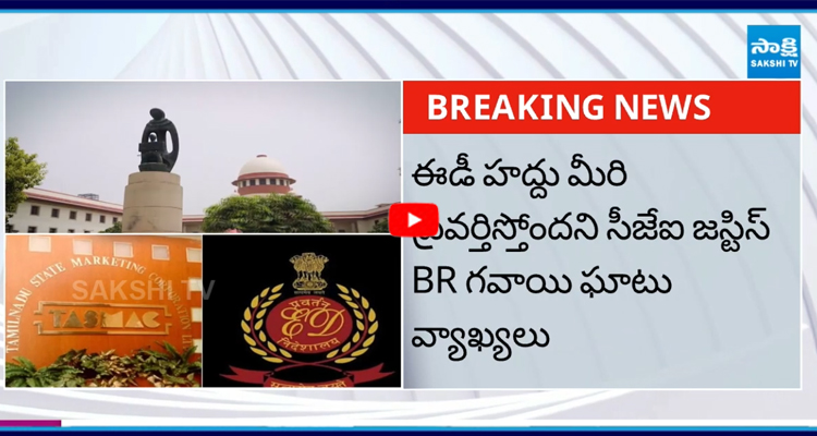 తమిళనాడు లిక్కర్ స్కామ్ కేసు దర్యాప్తుపై సుప్రీంకోర్టు స్టే