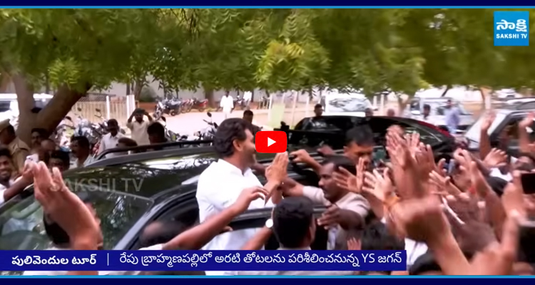 జగన్ పులివెందుల టూర్ షెడ్యూల్