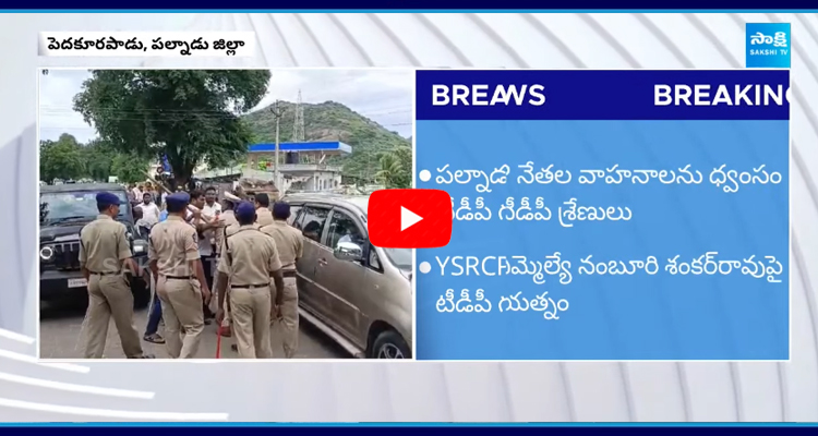 పల్నాడు జిల్లా పెదకూరపాడులో టీడీపీ గూండాల దాదాగిరి
