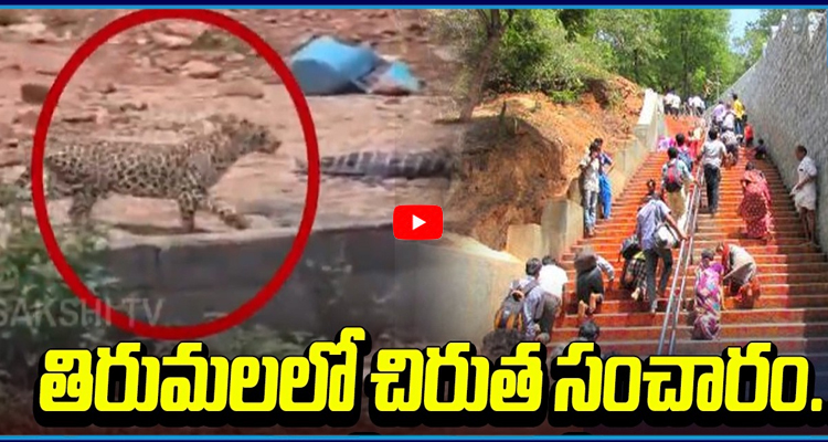 తిరుమలలో చిరుత సంచారం.. భయాందోళనలో భక్తులు