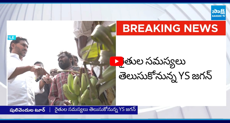 Kadapa District: 3 రోజుల పాటు పలు కార్యక్రమాల్లో పాల్గొననున్న YS జగన్