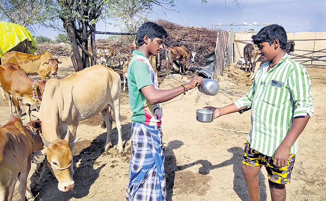 Milk not be sold in Ganjihalli Village - Sakshi