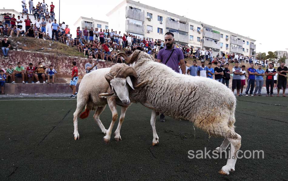 Eid al Adha festival - Sakshi