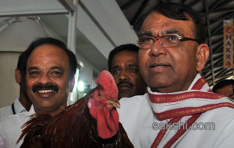 poultry india 2014 - Sakshi
