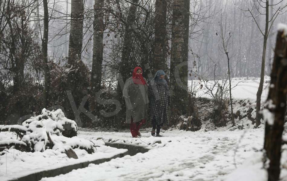 snowfall at North India attracts tourists