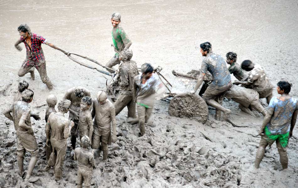 donkeys in muddy