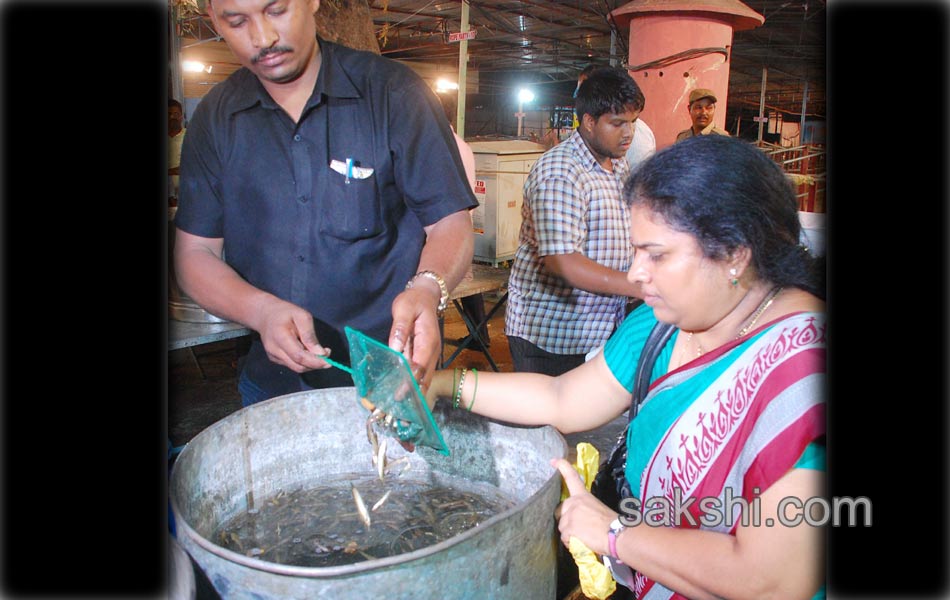 fish prasadam for asthma patients