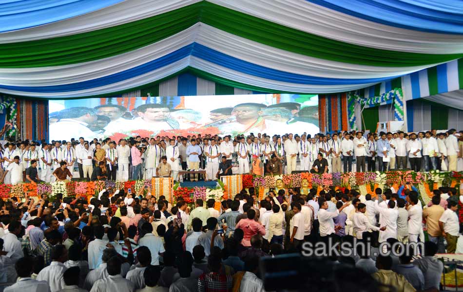 ysrcp plenary grand success on first day - Sakshi