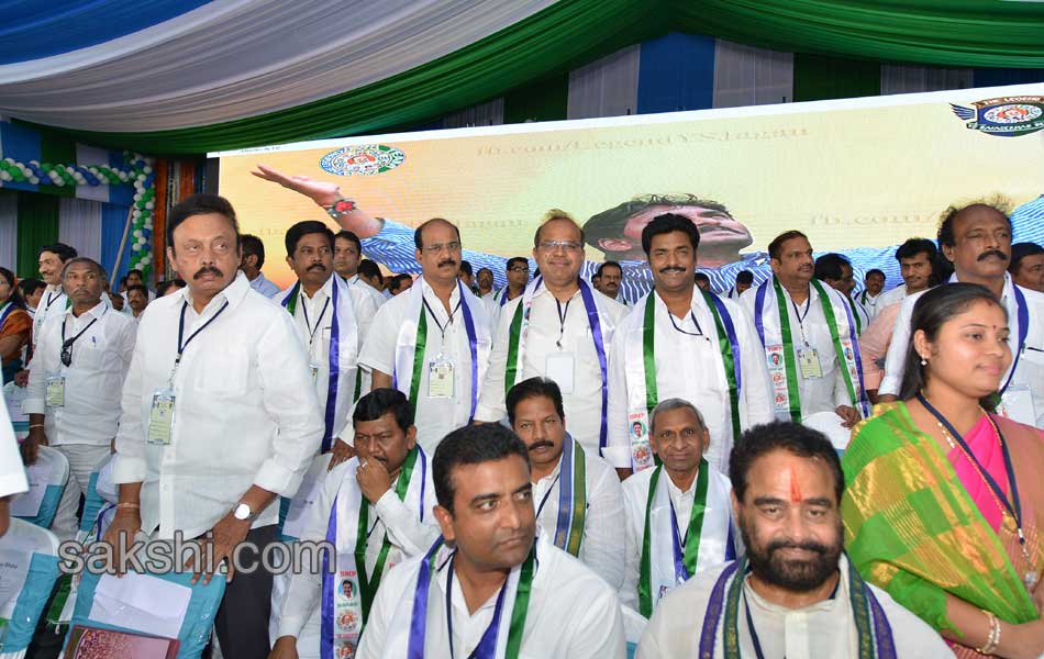 ysrcp plenary grand success on first day - Sakshi