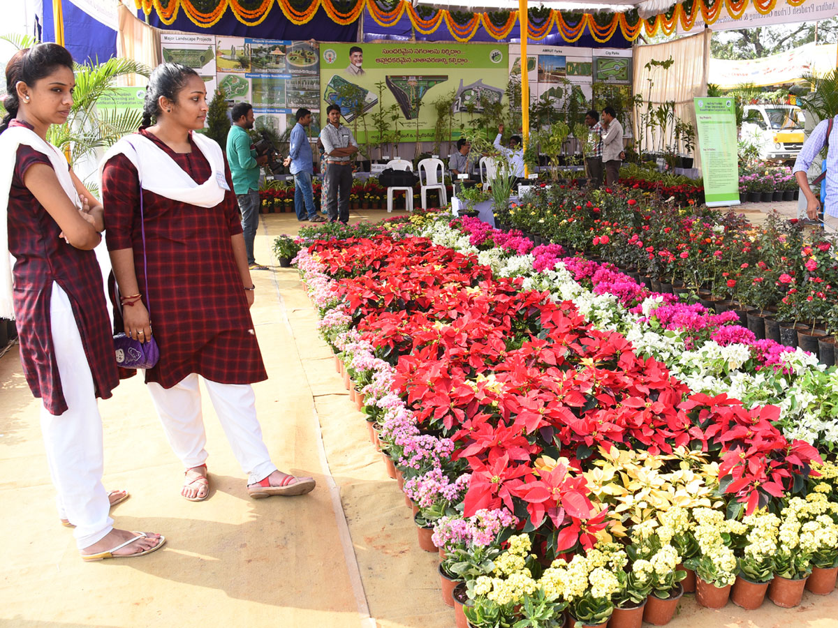 National rose show from in Vijayawada - Sakshi