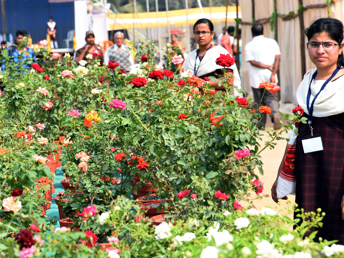 National rose show from in Vijayawada - Sakshi