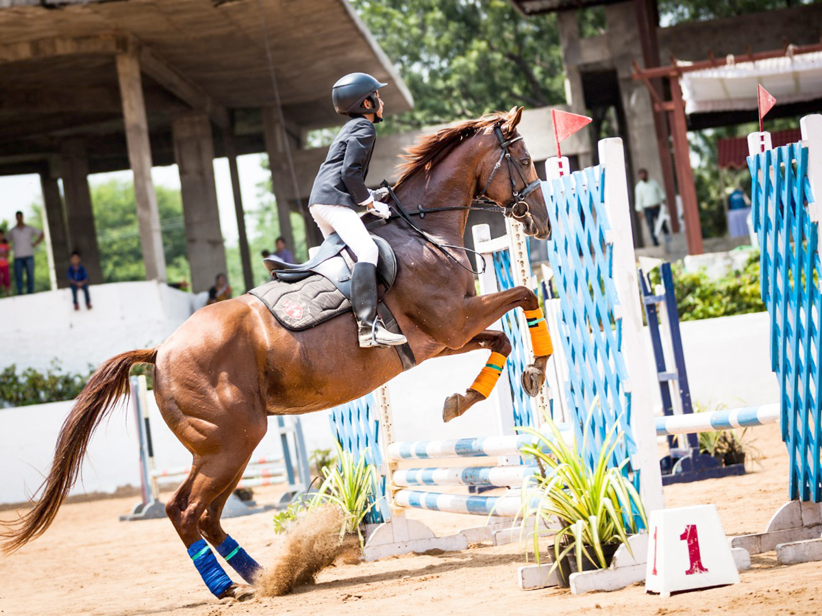 regional equestrian league Photo gallery - Sakshi