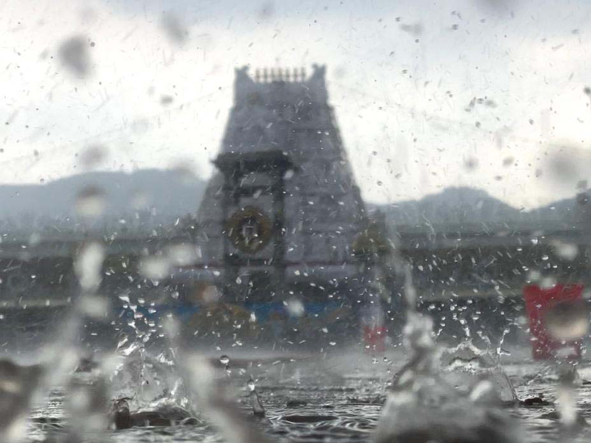 Heavy Rain at Tirumala Temple Photo gallery - Sakshi
