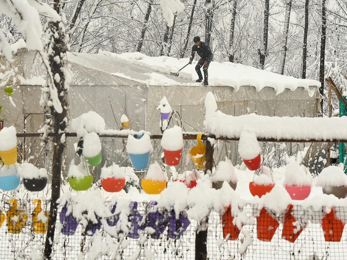 Heavy Snowfall in Jammu Kashmir Photo Gallery - Sakshi