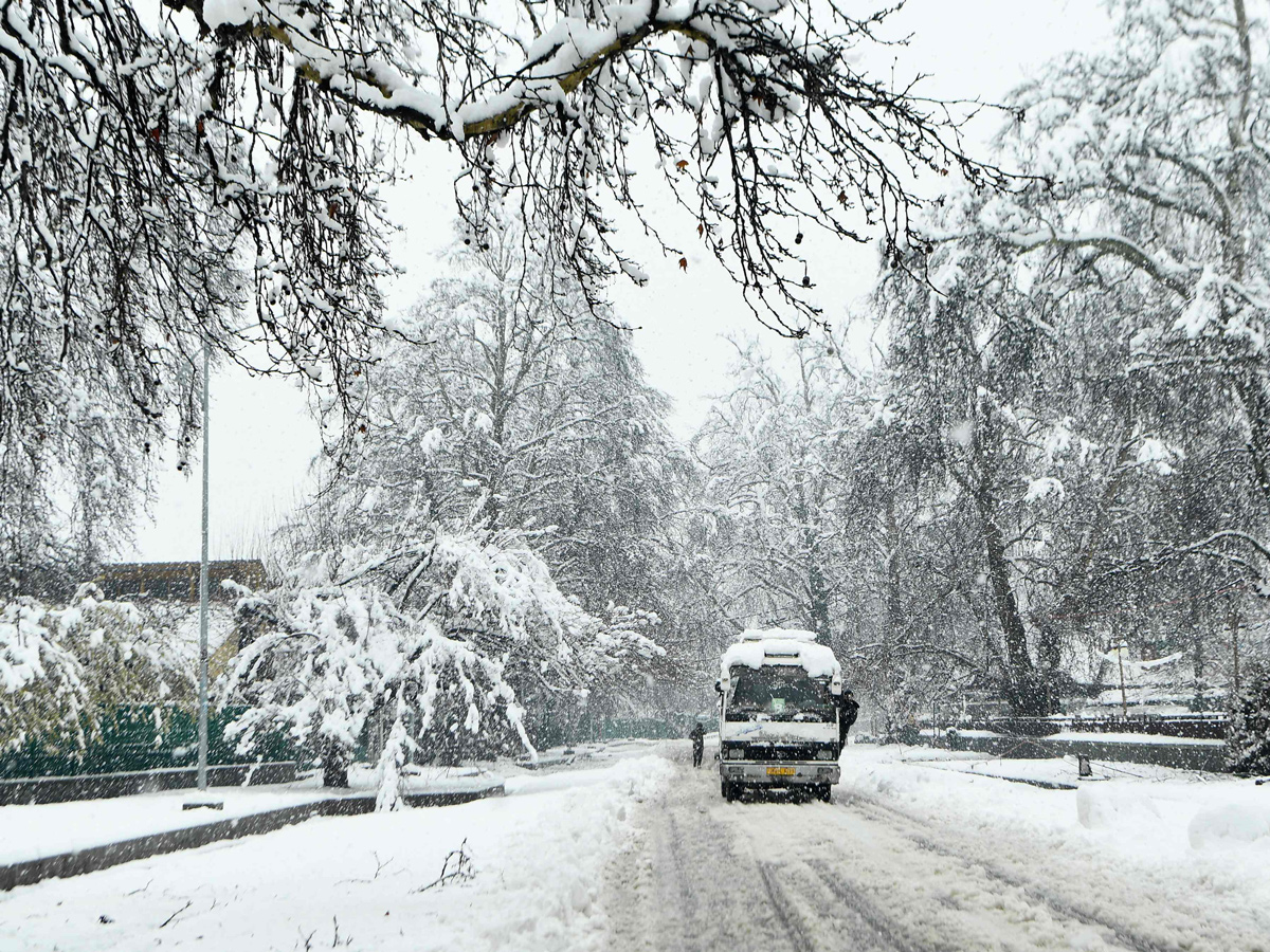 Heavy Snowfall in Jammu Kashmir Photo Gallery - Sakshi