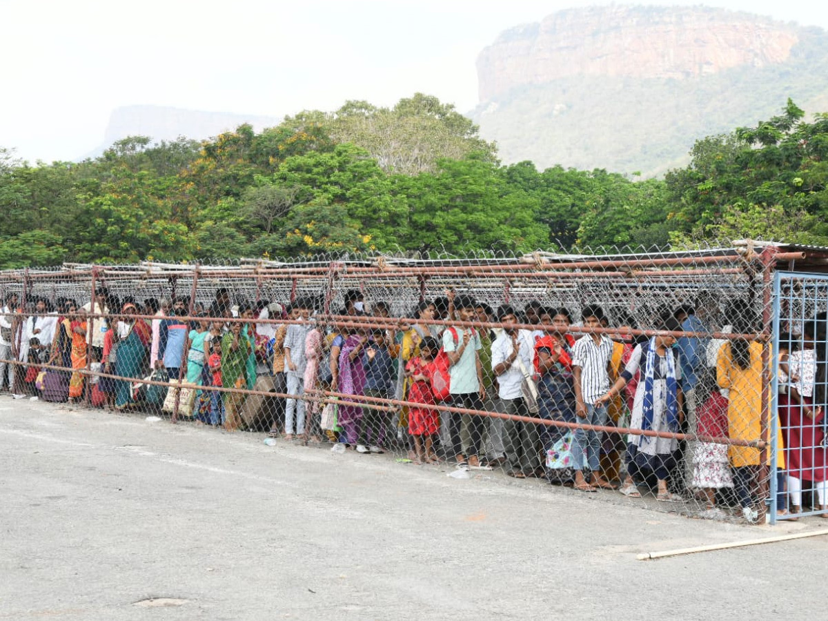Huge crowd of devotees in Tirumala Photos - Sakshi