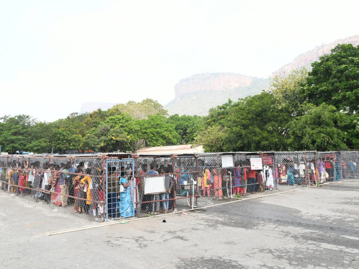 Huge crowd of devotees in Tirumala Photos - Sakshi