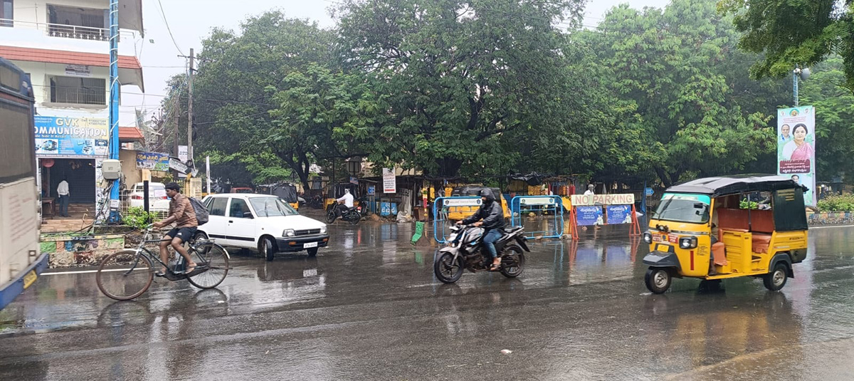 Heavy rains in Nellore District Photos - Sakshi