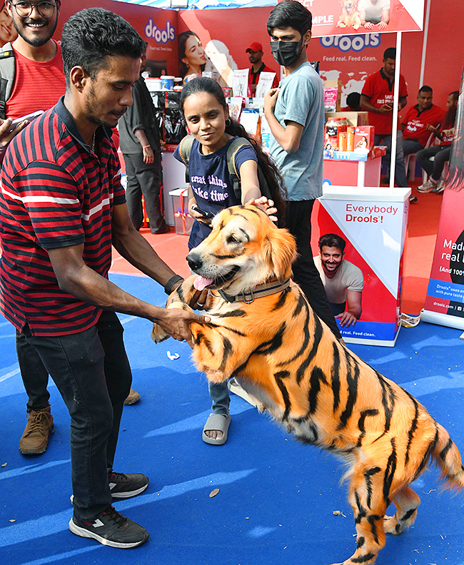 E Carnival Animal Show in hyderabad - Sakshi