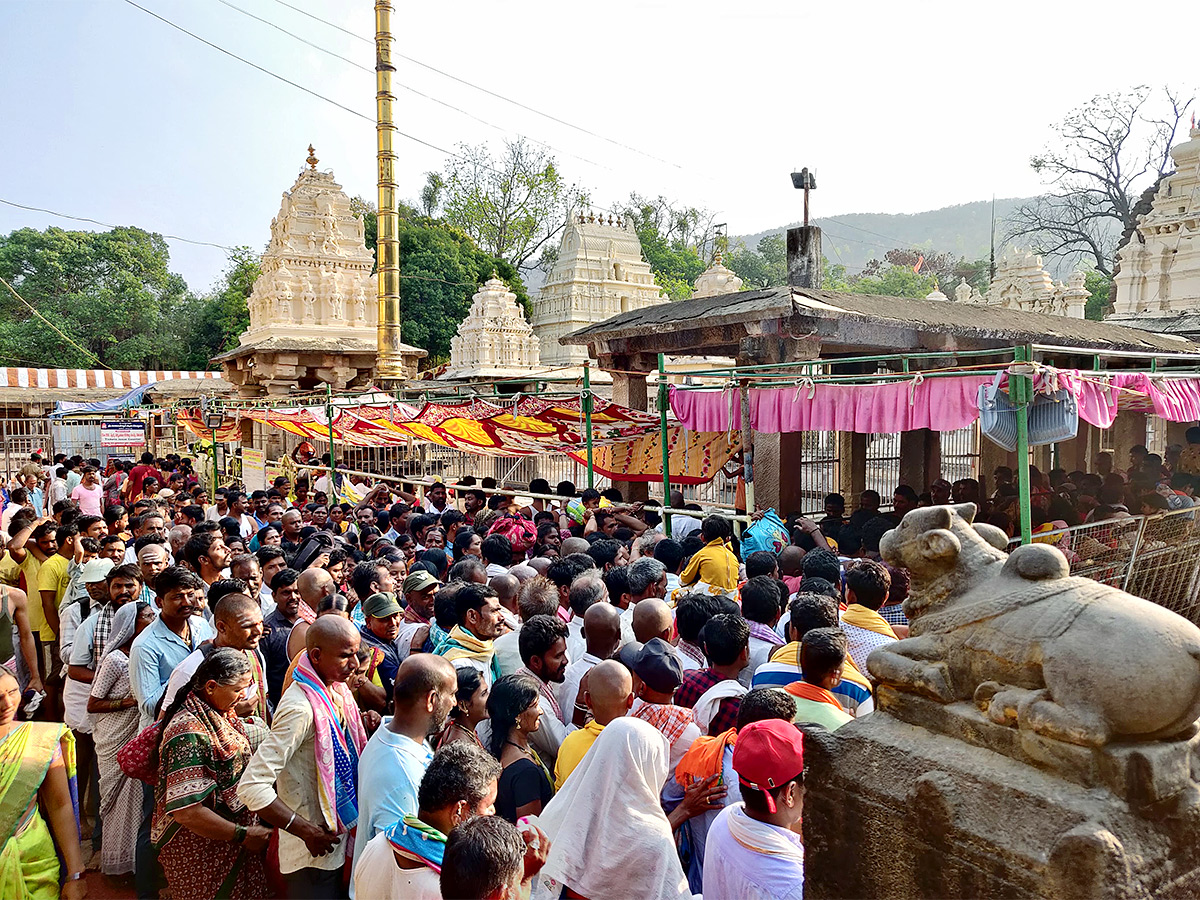Ugadhi Festival Celebrations in Srisailam - Sakshi