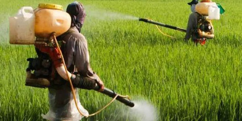 20 farmers die of pesticide poisoning in Maharashtra - Sakshi