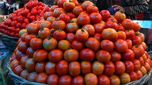 Tomato prices harden, hit Rs 80 per kg in Delhi  - Sakshi