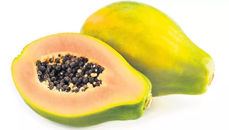 Papaya that increases digestion - Sakshi