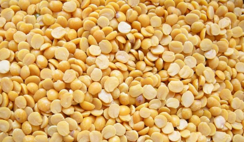 Buy a hundred and a half tons of Pigeon pea - Sakshi
