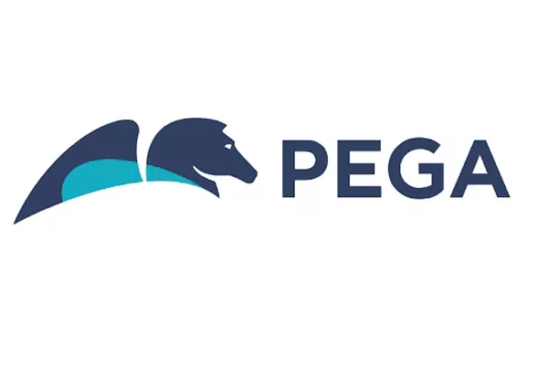 Pega Software for E-Progress Project - Sakshi