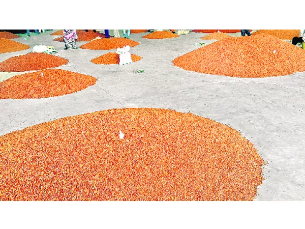 red gram sales in jangaon market - Sakshi
