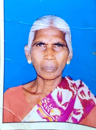 aunt killed by son in law at Pegadapalli - Sakshi