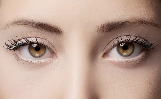 Eyes Protection From Glaucoma - Sakshi
