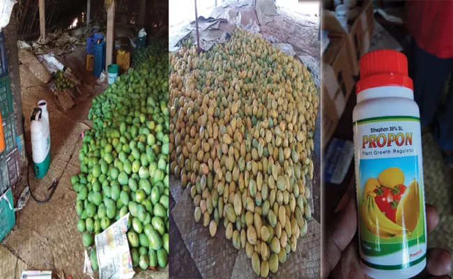 Vigilance Attacks On Fruits Market In Visakhapatnam - Sakshi