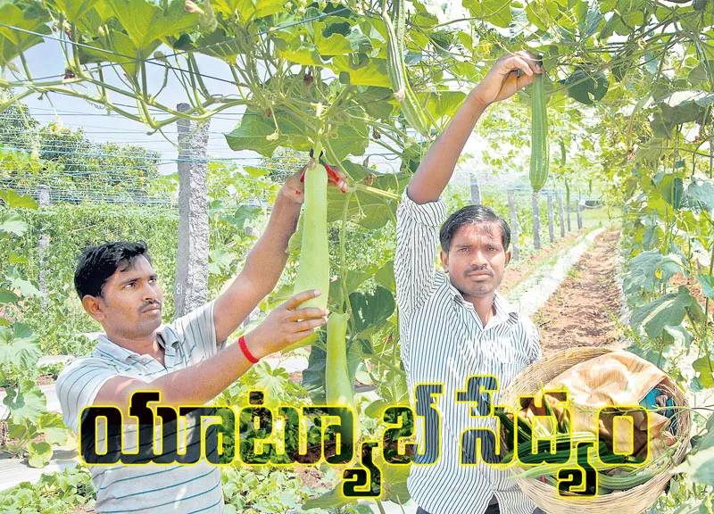 Nature farming practices by YouTube - Sakshi