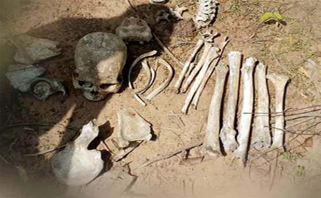 Absconded Man Skull Bones Found In Orissa - Sakshi