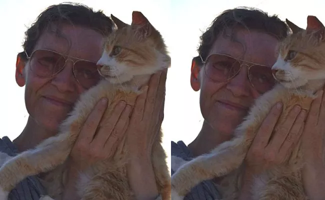 Joan Bowell Cat Sanctuary job Offer In Greek Island - Sakshi