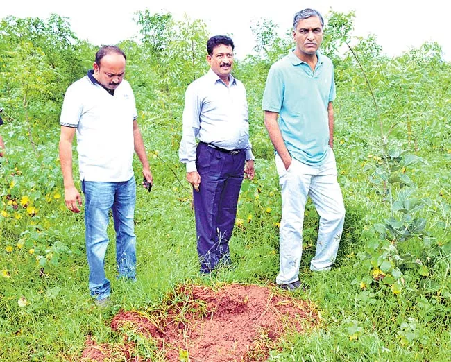 Harish Rao inspects Urban Park development works in Siddipet - Sakshi