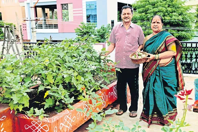 Organic greens and vegetables are at home crops - Sakshi