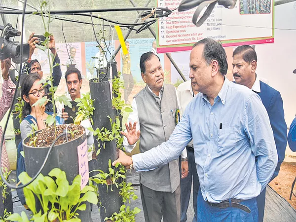 Better results with home crop - Sakshi