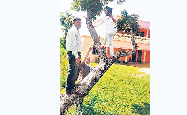 Jharkhand Teachers Climb Trees For Attendance - Sakshi