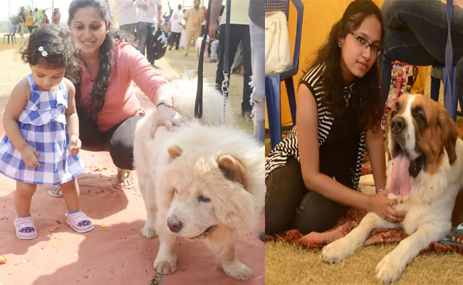 Dog Show In Visakhapatnam - Sakshi