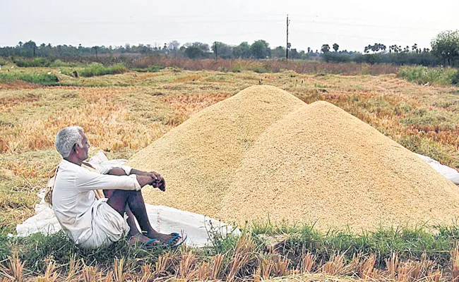 Devinder Sharma Article On Farmers Problems India - Sakshi