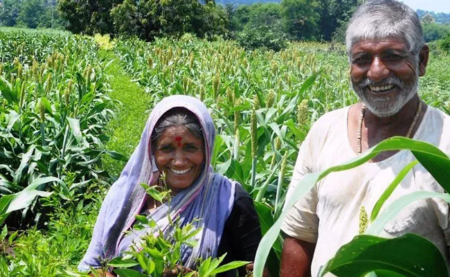Farmers Happy On Union Budget 2019 - Sakshi